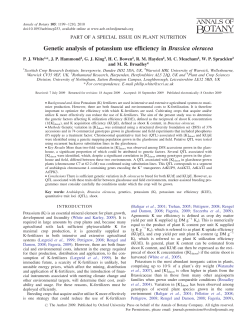 Genetic analysis of potassium use efficiency in