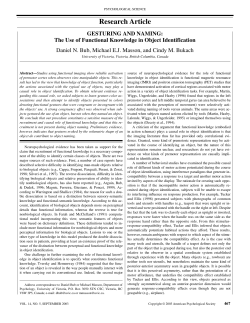 The use of functional knowledge in object