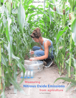 Printer-friendly PDF