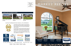 Sebastian Marketing Report