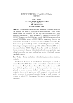 homing tendencies of large mammals