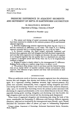 pressure difference in adjacent segments and movement of septa in