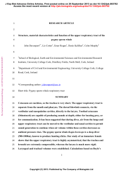 Pygmy Sperm Whale Paper JEB 2nd revision