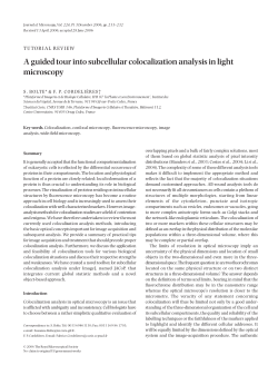 A guided tour into subcellular colocalization analysis in light