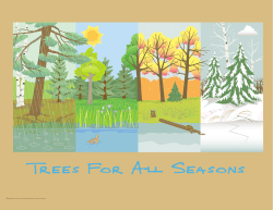 Trees For All Seasons
