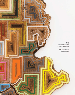 Progressive 2015 Annual Report - Financial
