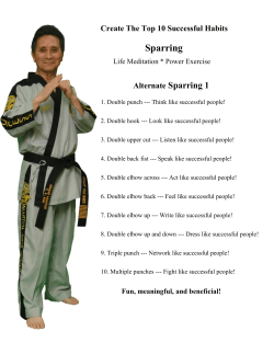Sparring - Martial Arts World