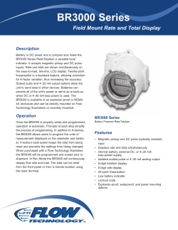 BR3000 Series Field Mount Rate and Total Display for Positive