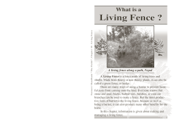 Living Fence ?