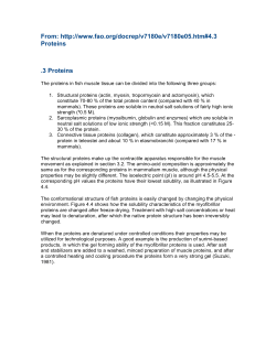 FISH 261 Spring 2012-A note on fish proteins