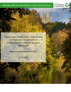 Business Plan for the Healthy Urban Tree Initiative