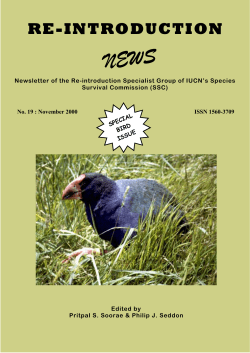 Issue 19 November 2000 (Special Bird Issue)