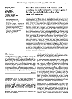 Protective immunization with plasmid DNA containing the outer