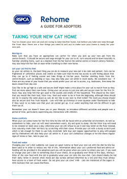 Rehome - RSPCA Essex