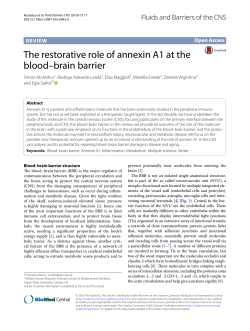 The restorative role of annexin A1 at the blood–brain barrier