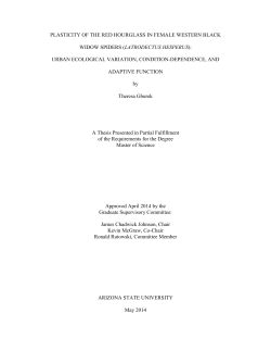 latrodectus hesperus - ASU Digital Repository