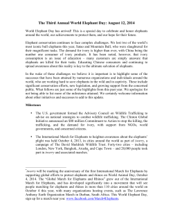 The Third Annual World Elephant Day: August 12, 2014