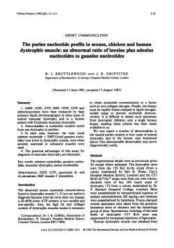 The Purine Nucleotide Profile in Mouse, Chicken