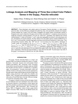 Linkage Analysis and Mapping of Three Sex-Linked Color
