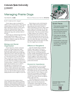 Managing Prairie Dogs - Castle Pines Village