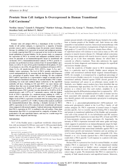 Prostate Stem Cell Antigen Is Overexpressed in Human Transitional