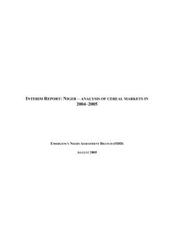 INTERIM REPORT: NIGER &ndash; ANALYSIS OF CEREAL MARKETS IN