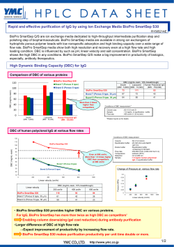 Rapid and effective purification of IgG by using Ion Exchange Media