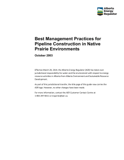 Best management practices for pipeline construction in native
