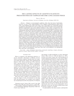 the lasting effects of adaptive plasticity: predatorinduced