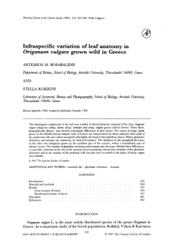 Infraspecific variation of leaf anatomy in Origanum vulgare grown