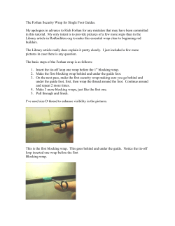 The Forhan Security Wrap for Single Foot Guides