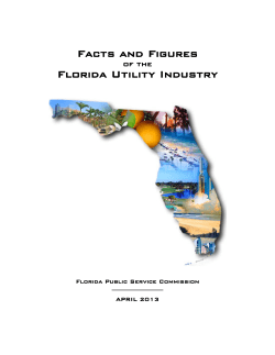 of the Florida Utility Industry - Florida Public Service Commission