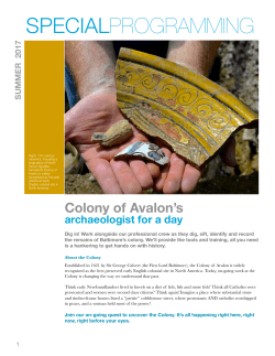archaeologist for a day