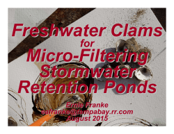 Freshwater Clams - Pinellas Chapter