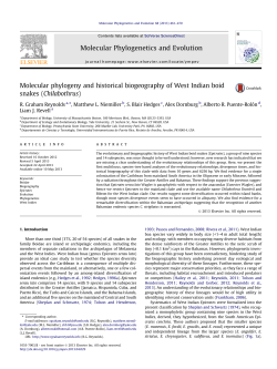 Molecular phylogeny and historical biogeography of West Indian
