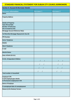 standard financial statement for dublin city council borrowers