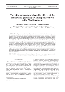 Threat to macroalgal diversity: effects of the introduced green alga
