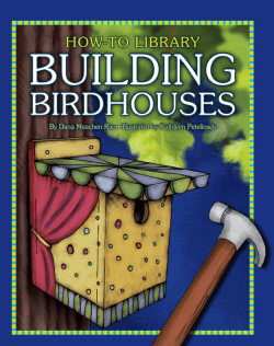 Building Birdhouses