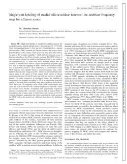 Single-unit labeling of medial olivocochlear neurons: the cochlear