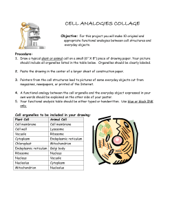 cell analogies collage