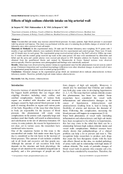 Effects of high sodium chloride intake on big arterial wall