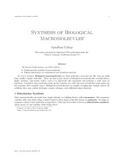 Synthesis of Biological Macromolecules