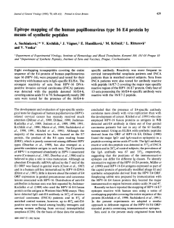 Epitope mapping of the human papillomavirus type 16 E4 protein by