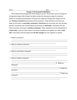 Energy in the Ecosystem WebQuest We`ve lear