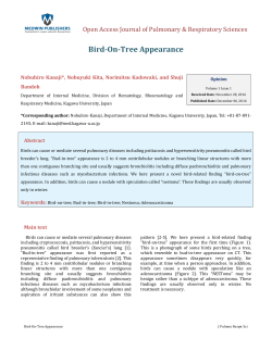 Bird-On-Tree Appearance