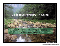 Collective Forestry in China