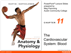 The Cardiovascular System: Blood