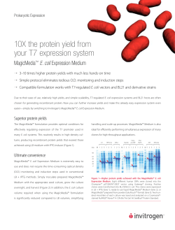 10X the protein yield from your T7 expression system