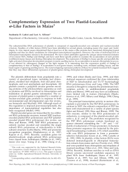 Complementary Expression of Two Plastid-Localized