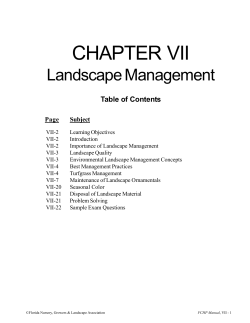 Chapter 7